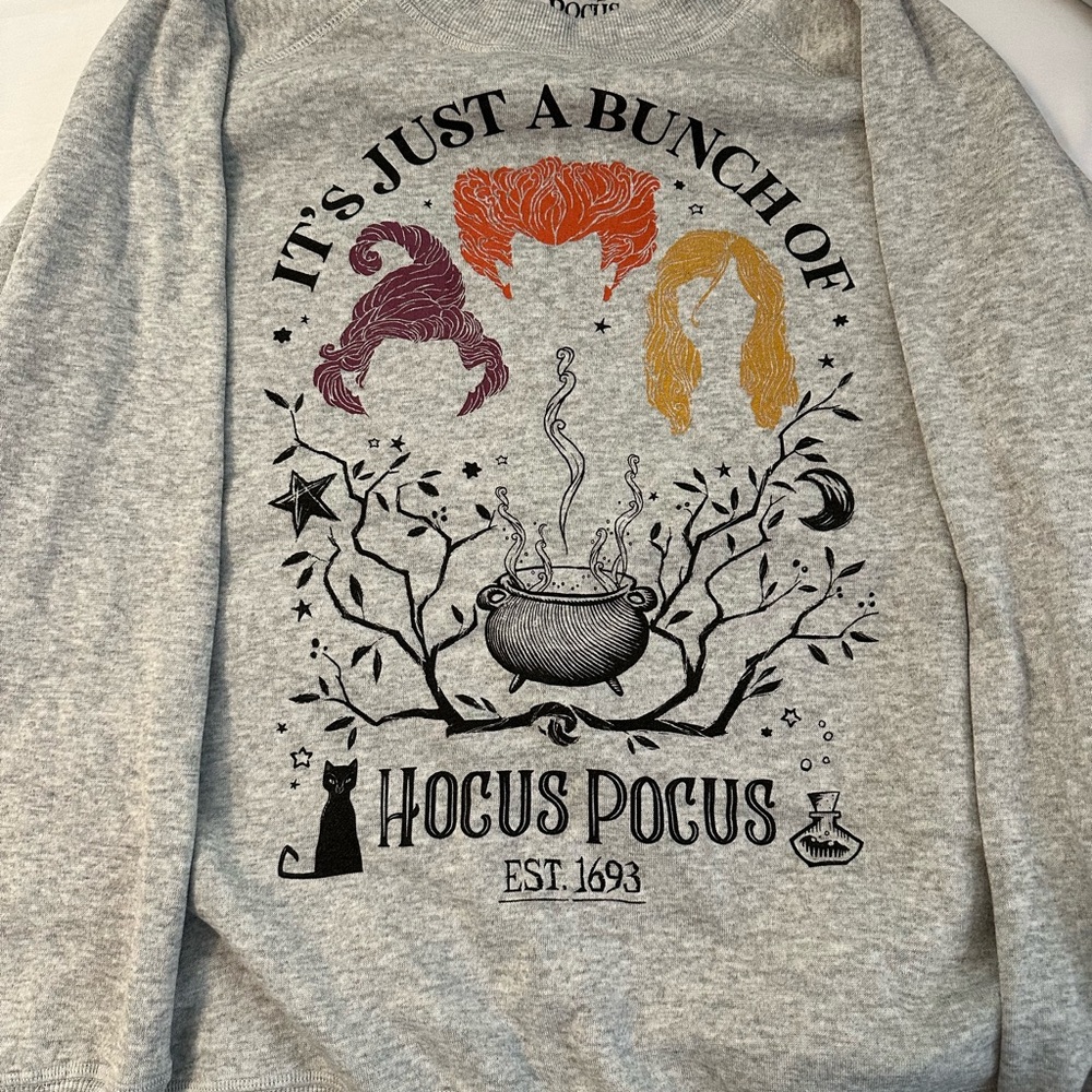 Disney Gray Hocus Pocus Sweatshirt